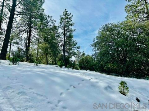 Photo of 8 Saunders Meadow Rd, Idyllwild, CA 92549 (MLS # 240005149SD)