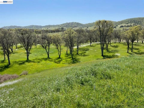 Photo of 345 Hawkridge Road, Copperopolis, CA 95228 (MLS # 41147095)