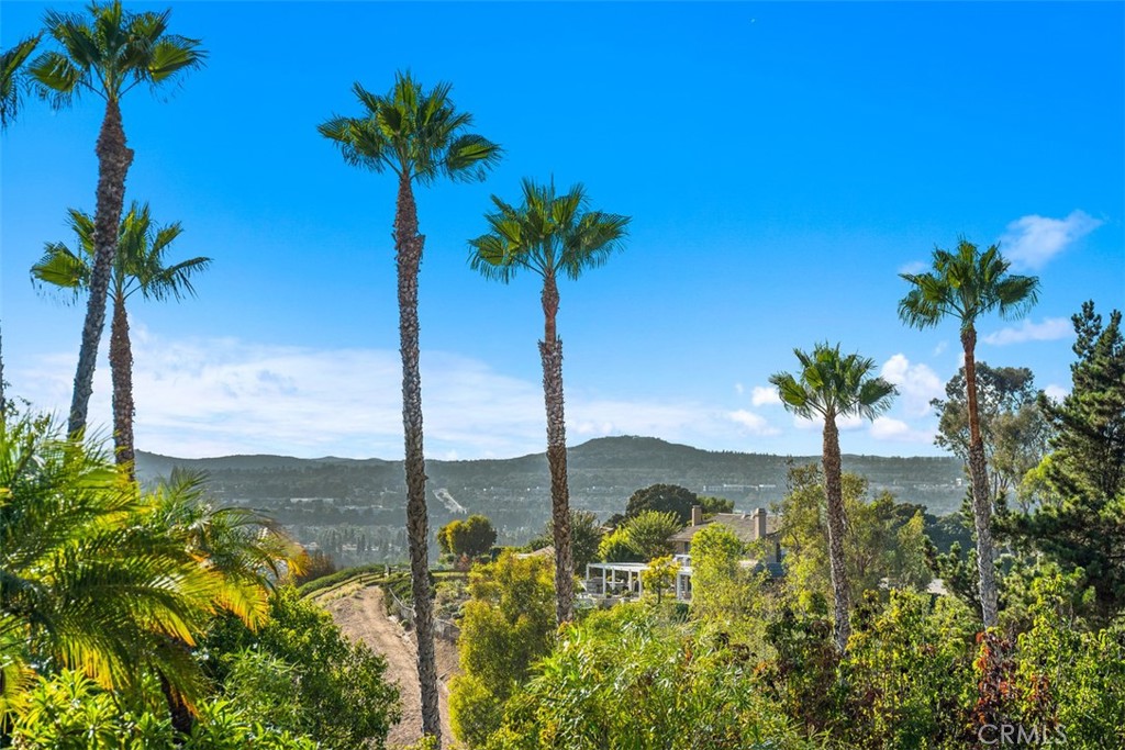 Nellie Gail (NG) - Residential