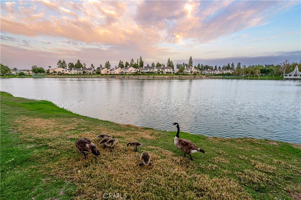 Villager (VL) - Residential Lease