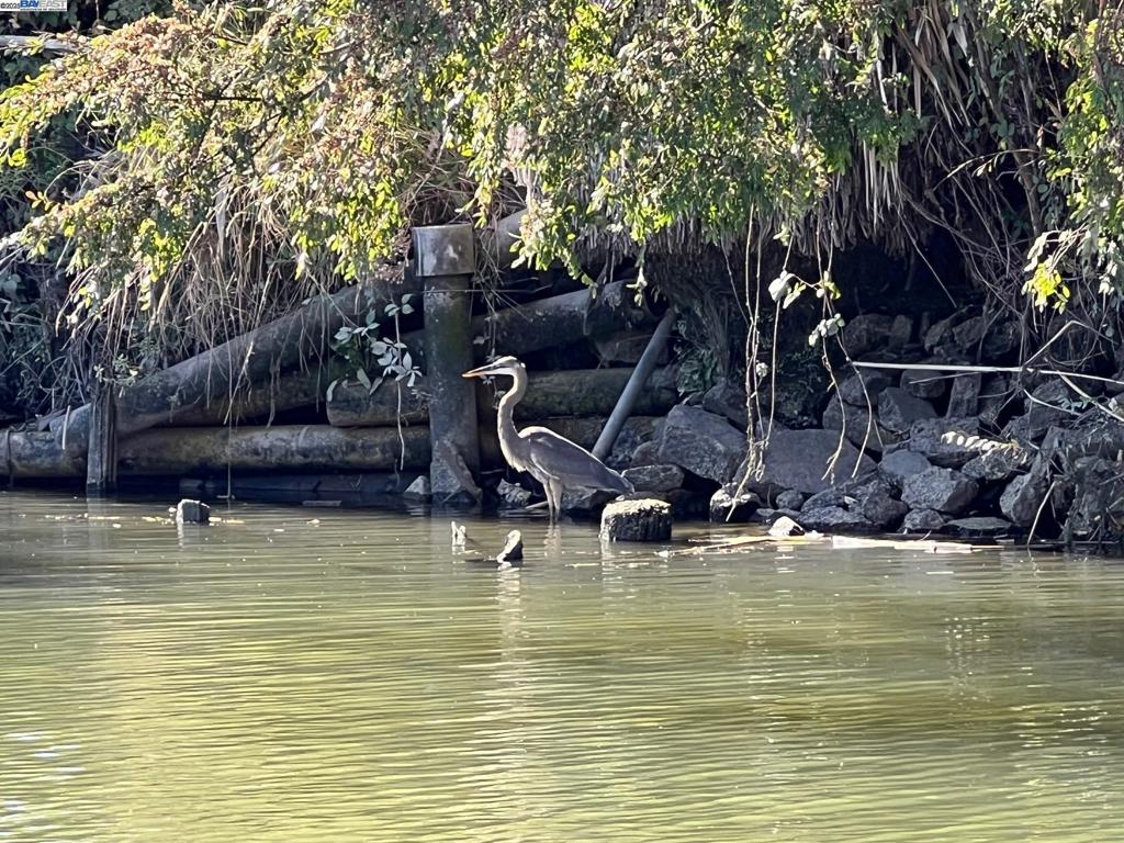 DELTAWAONT - Residential Lease