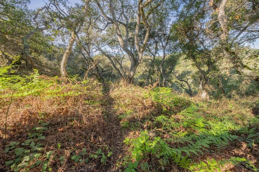 1 of 2 lots next to house at 18924 Vierra Canyon Road. Combine lots or include with purchase of 18924 Vierra Canyon Road. This lot is sloped down. Does not have a builidng area.