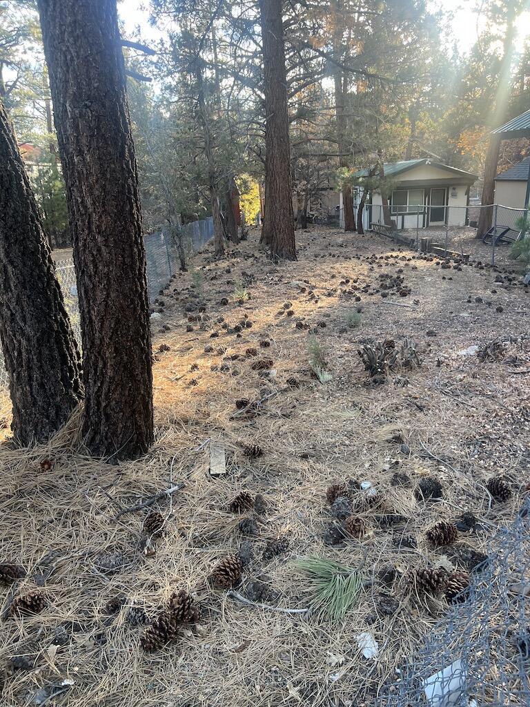 Not Applicable-1 - Land