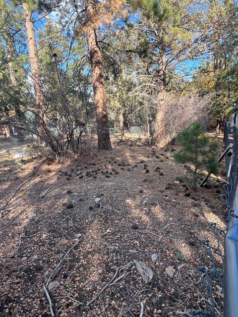 Photo of 569 Victoria Avenue, Sugarloaf, CA 92386 (MLS # 219137758PS)