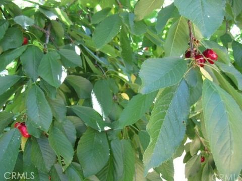 6636 Dolores Paradise CA 95969