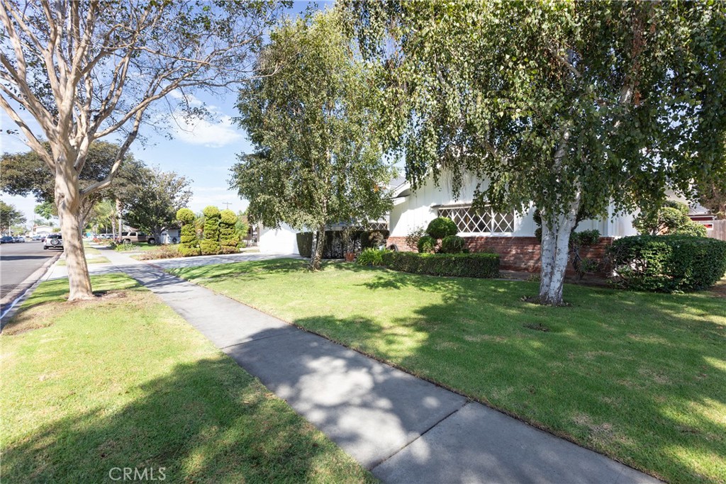 10641 La Dona Drive