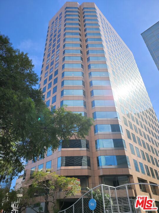 801 S Grand Avenue 1209