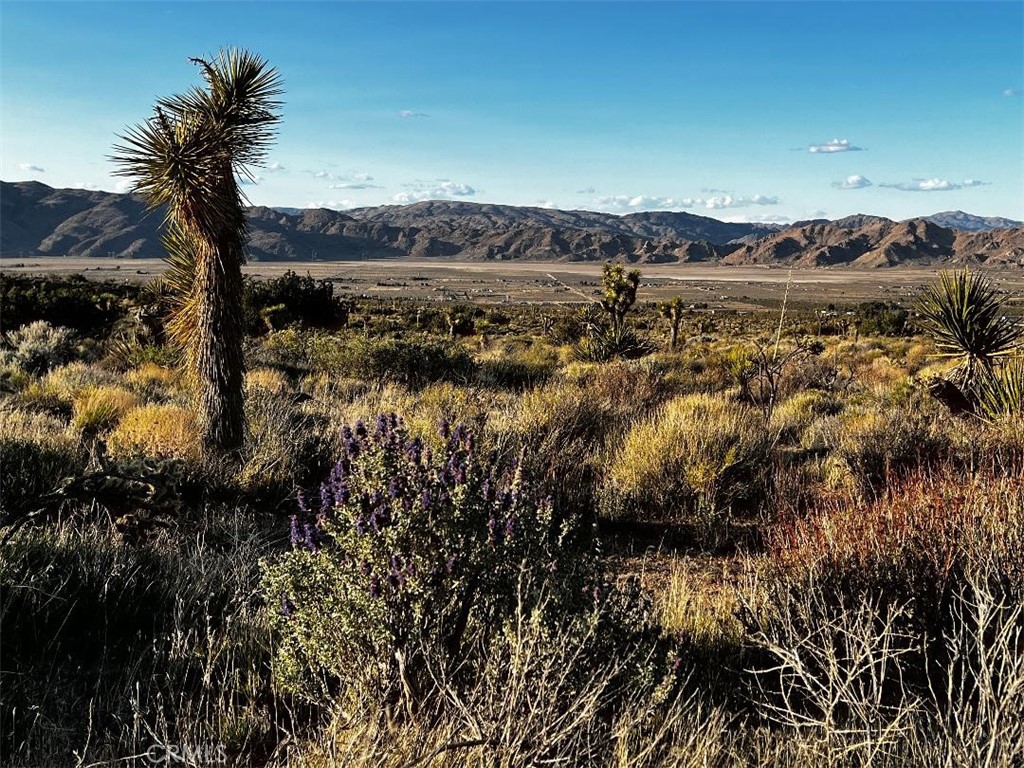 Lovely acerage overlooking Apple Valley and Lucerne Valley. Covered with beautiful shrubs and flowering bushes. Privacy abounds. Electrical power is nearby. Paved road is less than a mile from property. Ready for your home or ranch. The possibilities are endless.