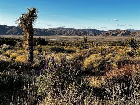 Photo of 0 Powerline Road, Lucerne Valley, CA 92356 (MLS # IG25221453)