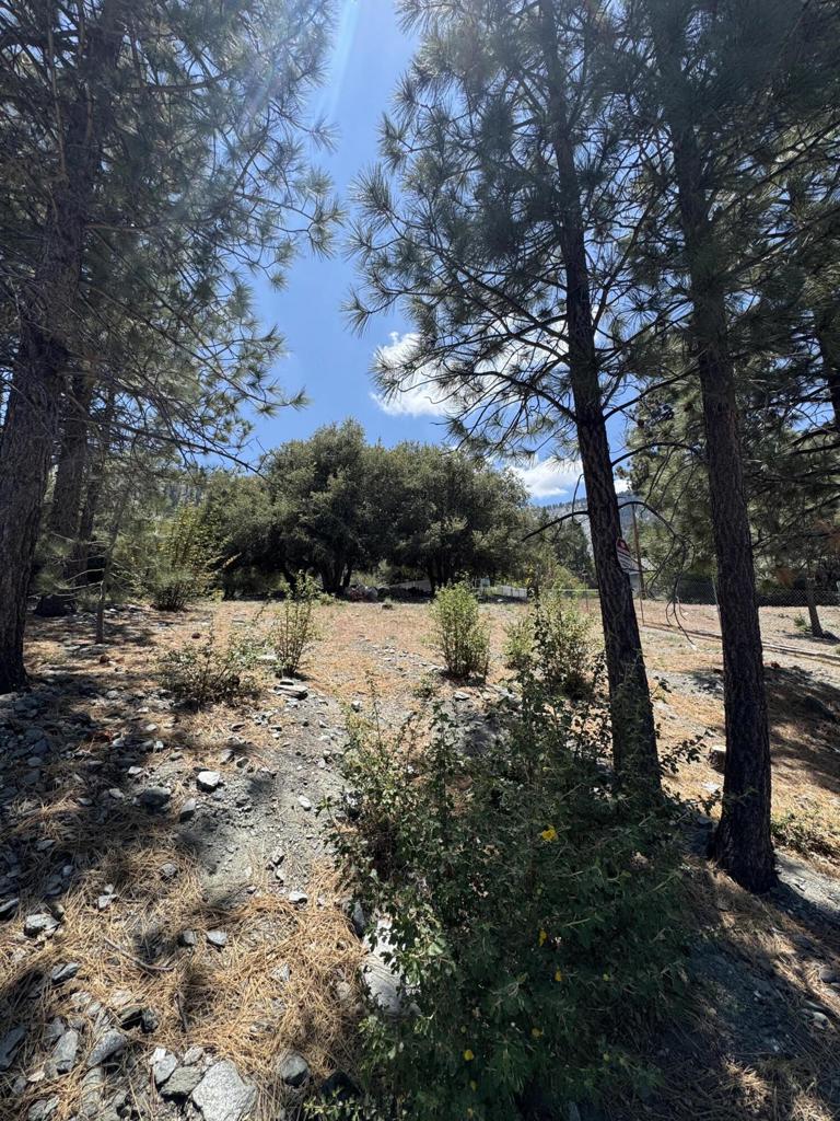 5236 Desert View Drive