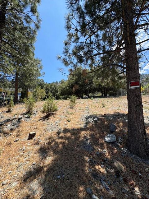5236 Desert View Drive Wrightwood CA 92397