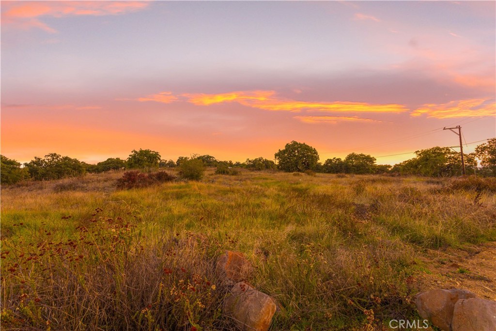 16 Avocado Mesa Road