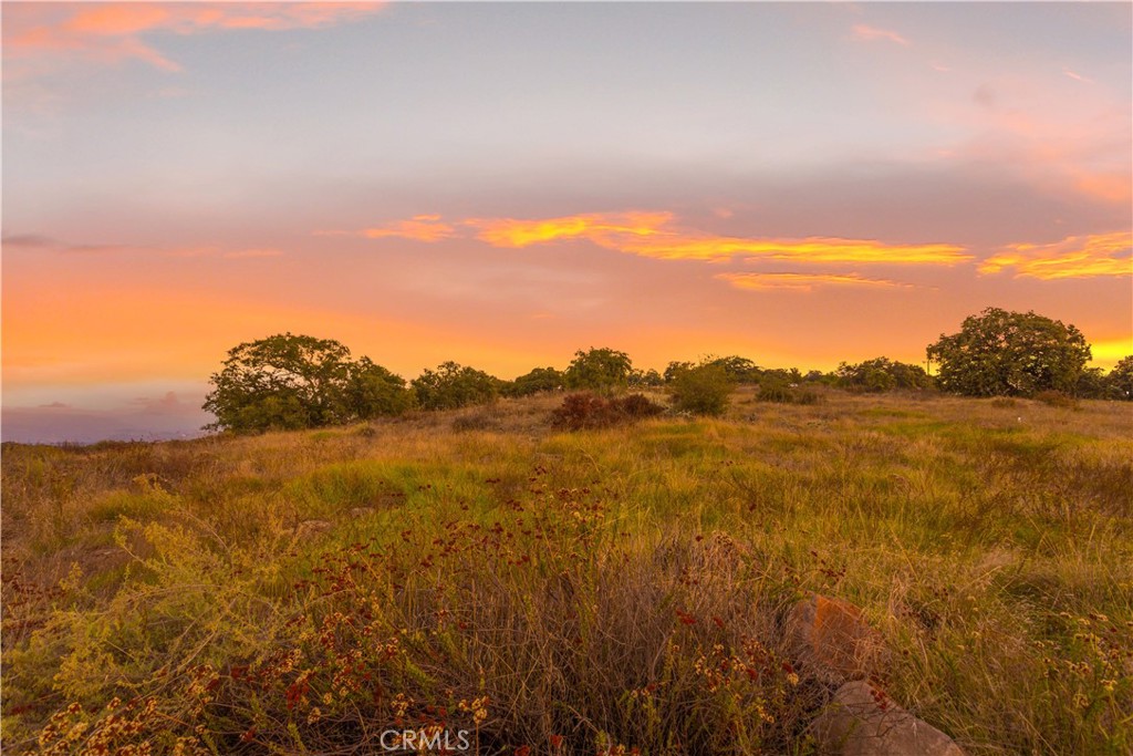 16 Avocado Mesa Road