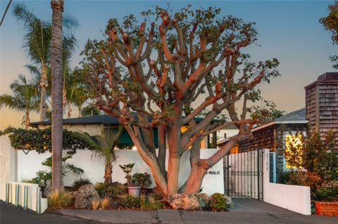 Photo of 5796 Campo Walk, Long Beach, CA 90803 (MLS # RS26180910)