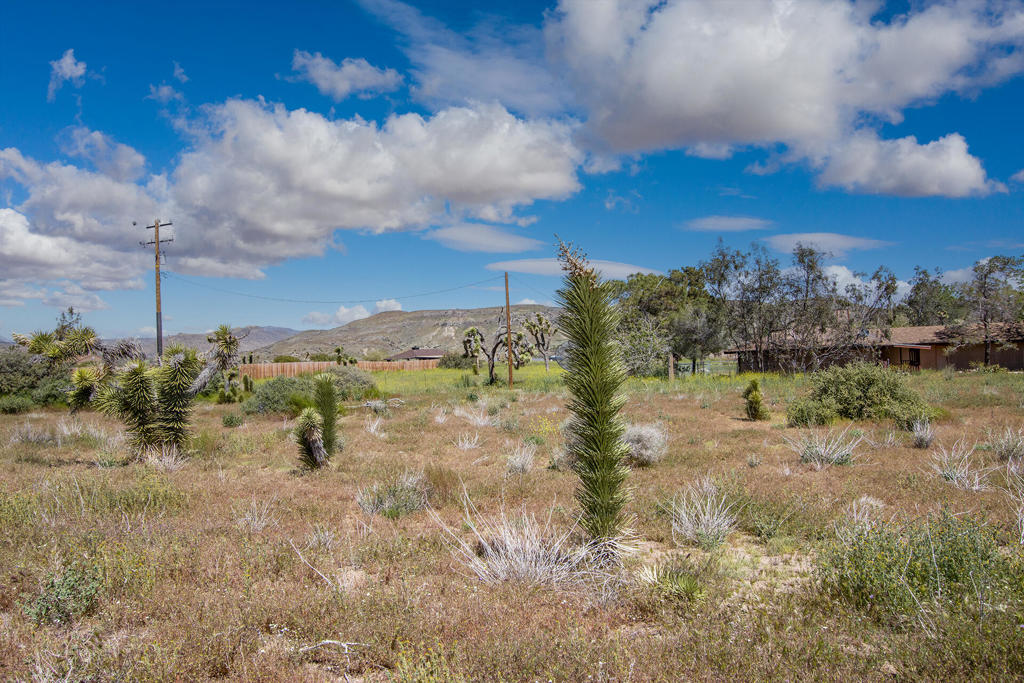 Not Applicable-1 - Land