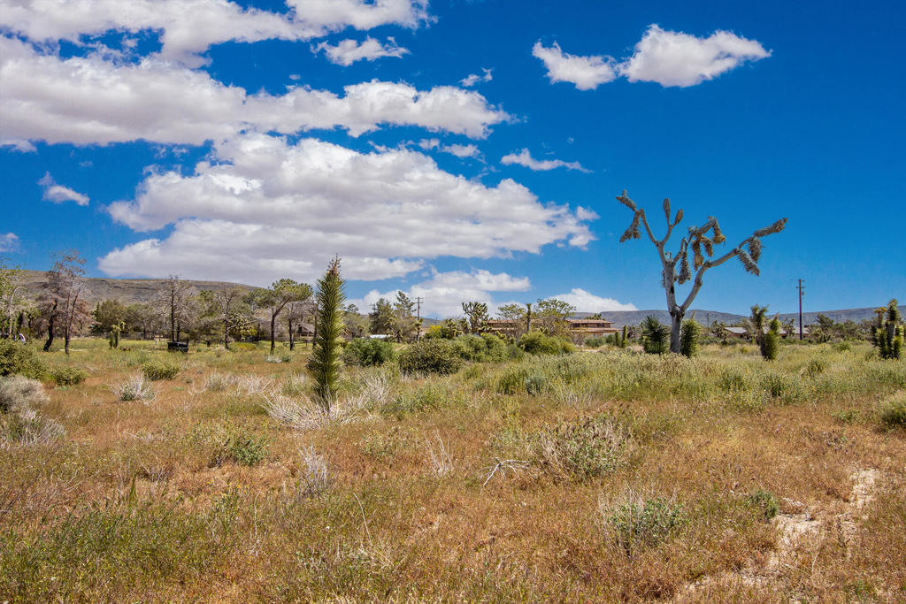 Not Applicable-1 - Land