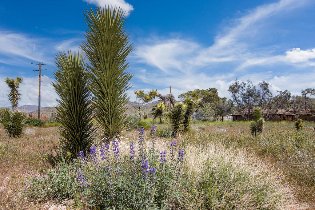 Not Applicable-1 - Land