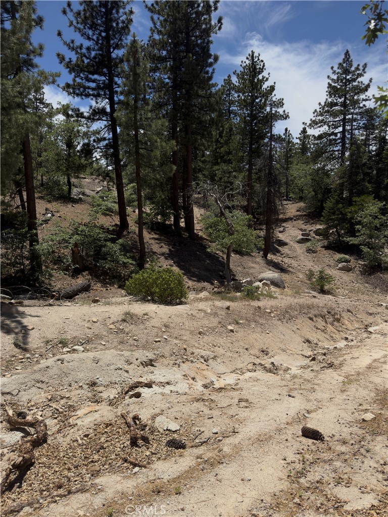 Arrowbear (AWBR) - Land