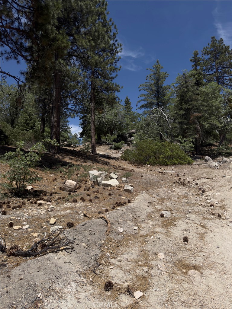 PRISTINE LAND IN THE ARROWBEAR LAKE AREA OFF PAVED ROAD AND READY FOR CAMPING, PIC NIC, TO PLAY ON THE SNOW DURING WINTER SEASON. Two lots for your entire enjoyment or for future building. Walking distance from the lake and the Rim of the World baseball park. Lots of home and amenities in this quiet mountain community.