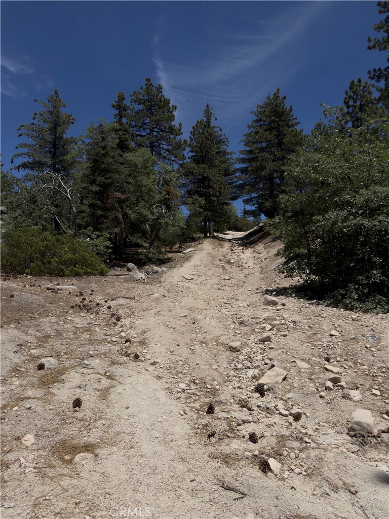 Arrowbear (AWBR) - Land