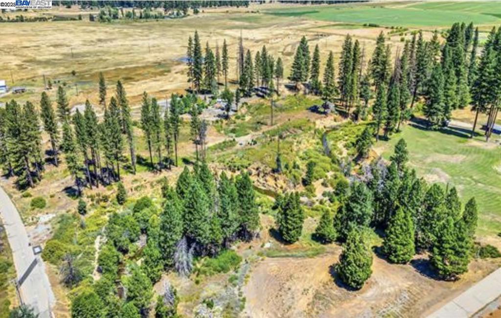 ZONED Prime Recreational (REC-P) allowing multiple uses: RV Resort (14 sites per acre) / Boutique Lodging / Event Venue / Adventure Tourism / Health & Wellness Resort / Manufactured Home Community if recreation oriented. Property includes existing well producing 20 gallons per minute at 64° from 60 foot depth, with option to drill deeper to access geothermal temperatures. 1,101 feet of creek frontage. CURRENT INCOME from 9 RV hookups with full utilities (water, sewer, electrical). Two 40’ luxury fifth wheel trailers and a 1,400 SqFt Trex deck included. UTILITIES: City water, sewer, and power with new underground wiring in place. Located within 1 mile of new restaurants, grocery, and gas station. Lake Almanor 9 miles / Plumas National Forest 31 miles / Lassen Volcanic Park 40 miles. Regional tourism exceeds 3M annual visitors creating strong year-round demand. Positioned for expansion into RV resort, lodging, wellness, or mixed-use development. See attached ZONED Prime Recreational (REC-P) allowing multiple uses: RV Resort (14 sites per acre) / Boutique Lodging / Event Venue / Adventure Tourism / Health & Wellness Resort / Manufactured Home Community if recreation oriented.