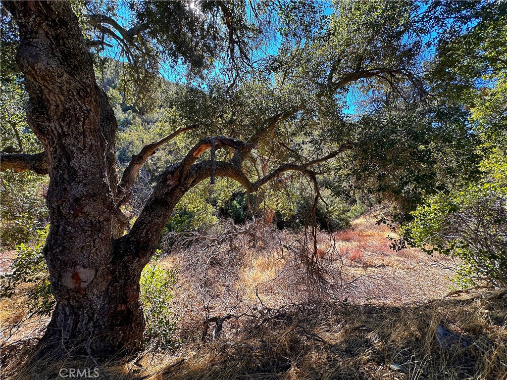 Warner Springs - Residential