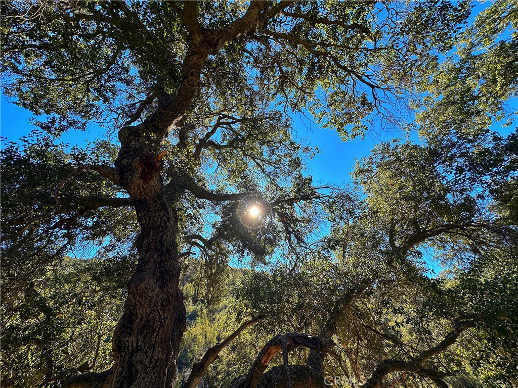 Warner Springs - Residential