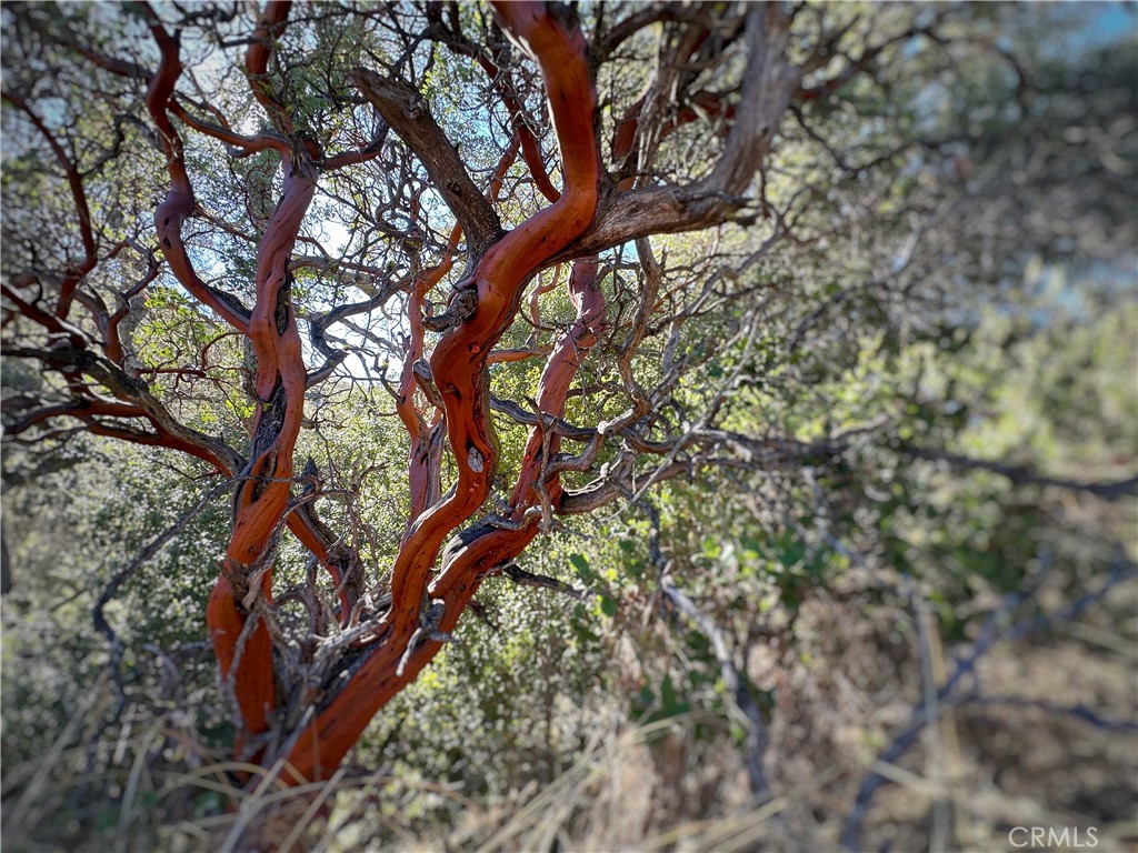 Warner Springs - Residential