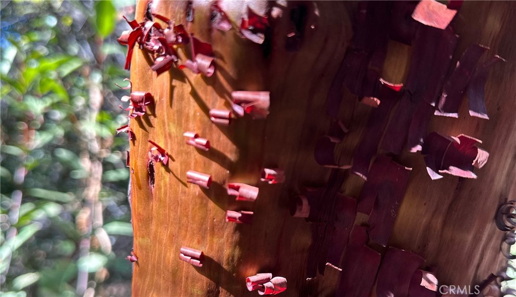 Warner Springs - Residential