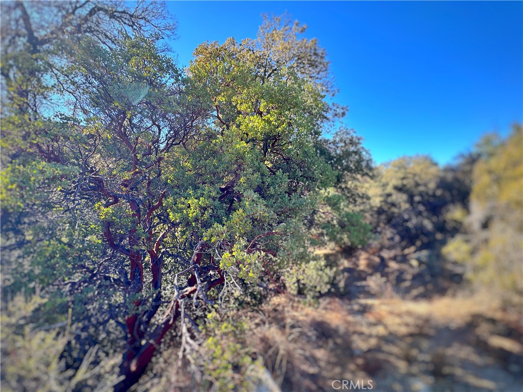 Warner Springs - Residential