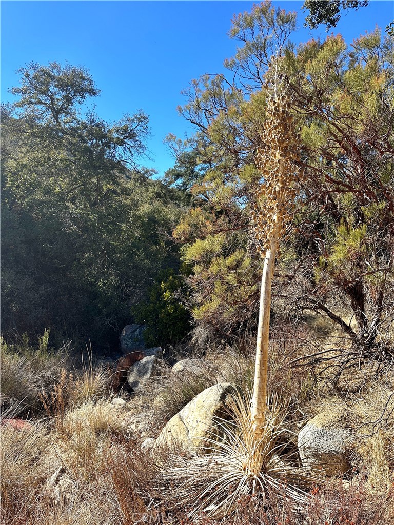 Warner Springs - Residential