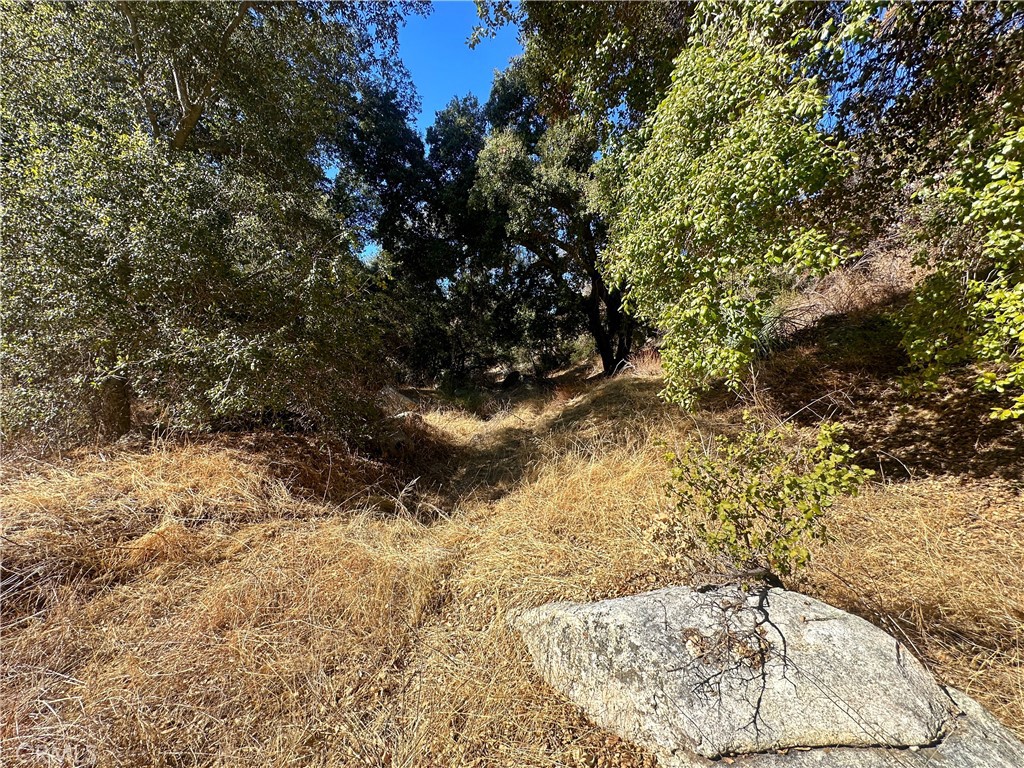 Warner Springs - Residential