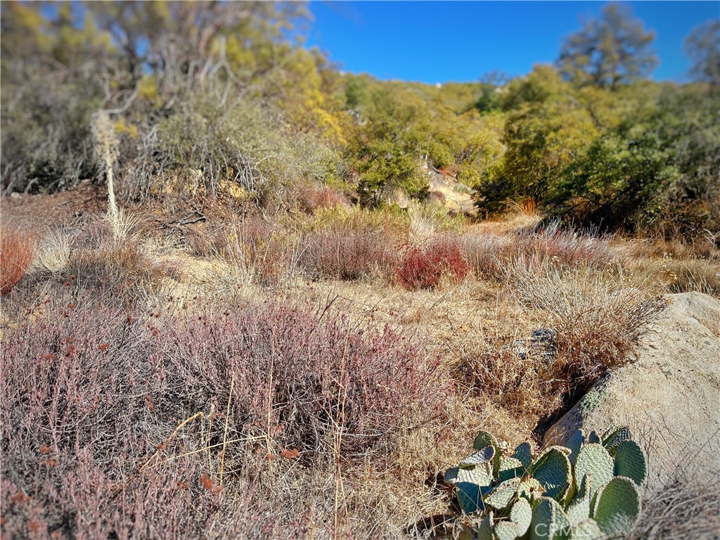 Warner Springs - Residential