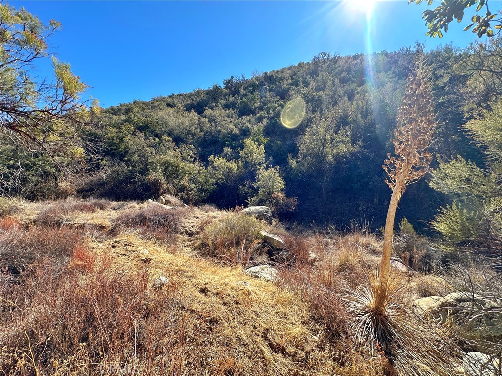 Warner Springs - Residential