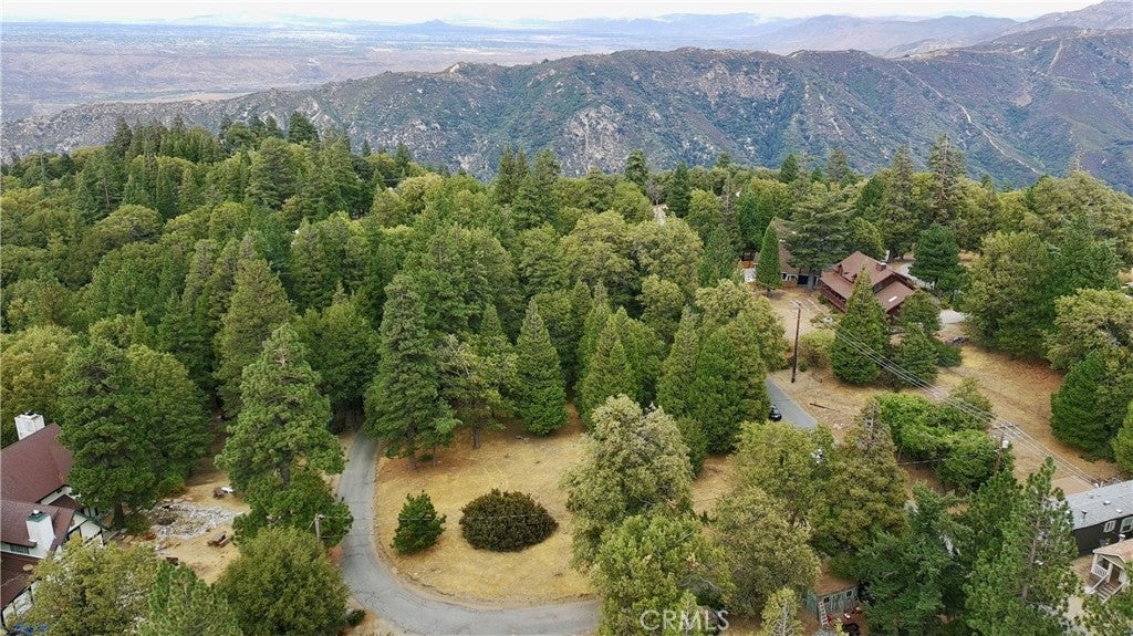 Photo 1 of 32 — 0 Mojave River Rd, Cedarpines Park, CA 92325