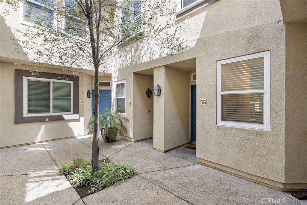 56 Sagebrush