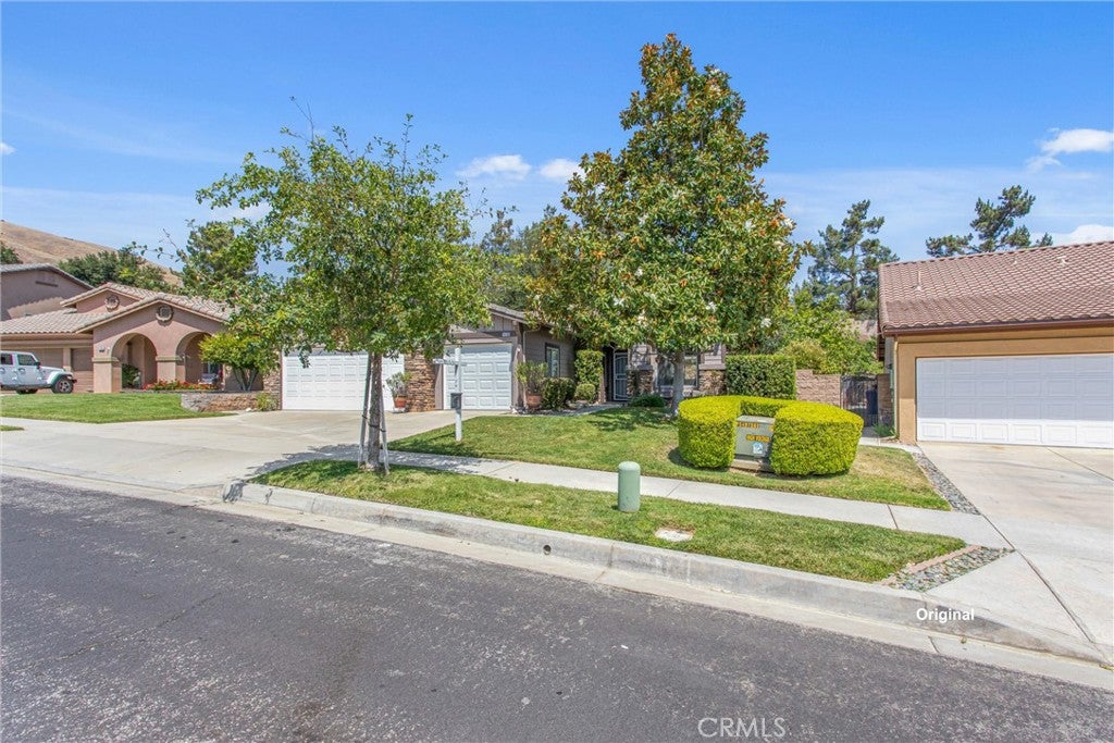 11733 Pactfield