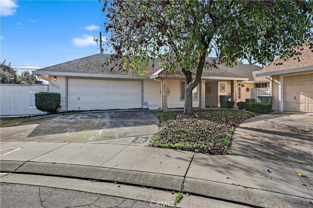 3045 Silver Elm