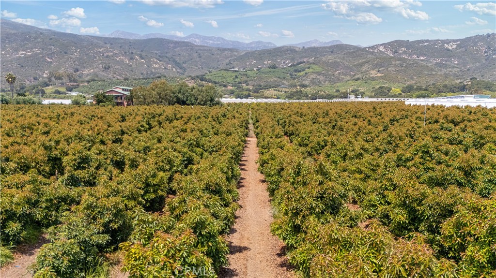 5366 Foothill Road
