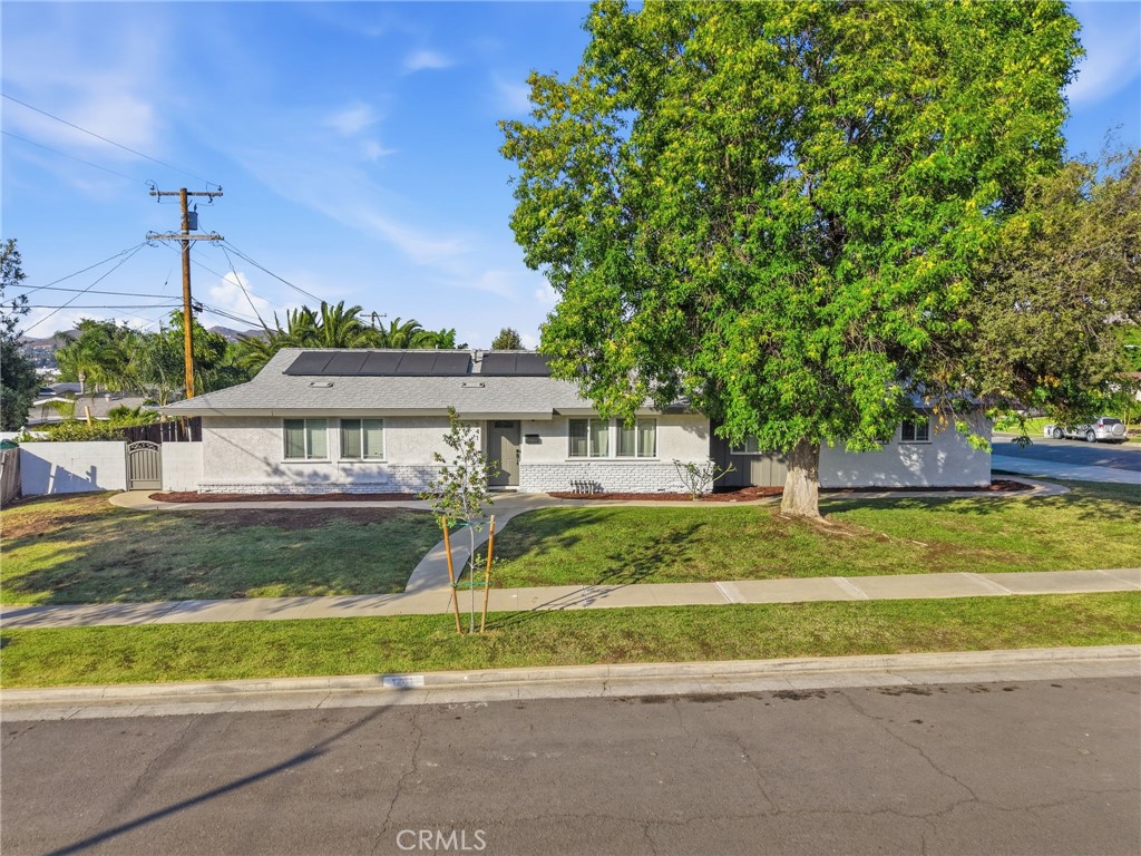 1241 Elm