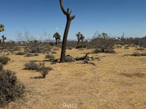 Photo of 1234 alta, Yucca Valley, CA 92284 (MLS # JT26217551)