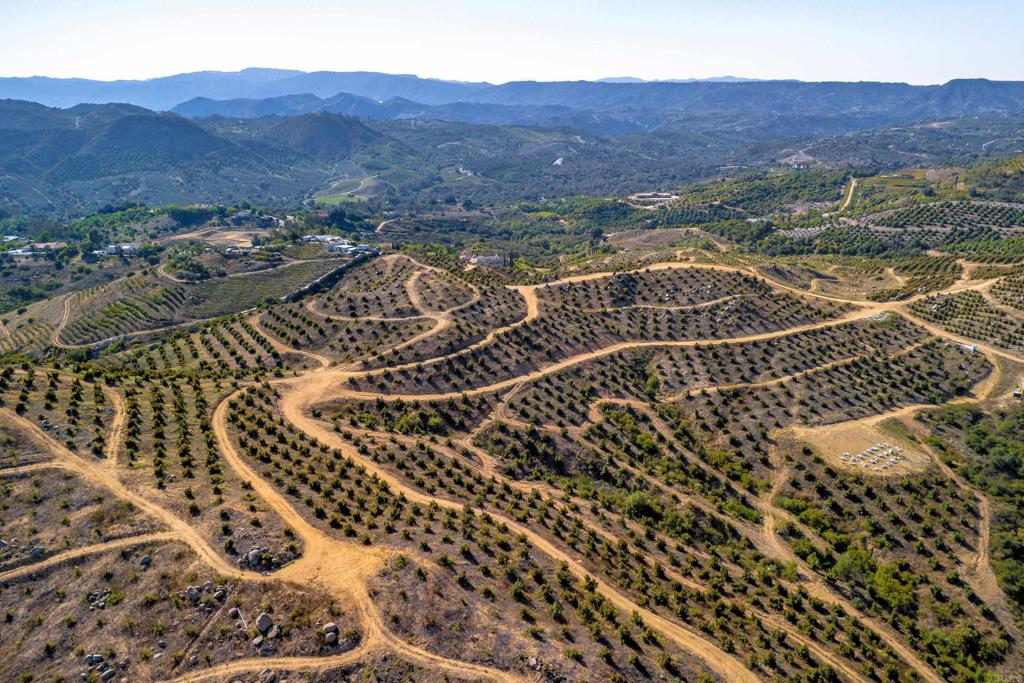 In the scenic backcountry of De Luz lies one of the most prestigious avocado groves to come on the market in years — The Reeg Ranch. This nearly 150-acre property spans 6 legal parcels, with approximately 100 acres planted with ~19,000 avocado trees, including 12,500 GEM (widely considered the best-tasting avocado on the planet!) and 6,500 Hass — all on premium Dusa rootstock. Planted in phases beginning in 2018, the grove has been thoughtfully designed with long-term, high-output production in mind. Water is sourced from four active wells producing a combined 650 gallons per minute, all powered by three-phase electric service. A fifth well, tested at 100 GPM, is currently unpumped but available for future use (estimated $90K pump install). For added water security, the property includes 320 GPM in RCWD water allocations, delivered through two dedicated meters: a 2” turbo meter (200 GPM) and a 1” remote meter (120 GPM). The grove features a well-maintained internal road system, multiple pad sites for custom estate builds or expanded ag infrastructure, and two ideal helicopter pads for convenient aerial access or luxury estate development. From the advanced irrigation layout to the investment in top-tier rootstock and water systems, no expense was spared in establishing this professionally managed farm. Current production is estimated at 30–35%, with projected yields exceeding 1 million pounds annually by 2027–2028 as the trees fully mature. The seller is open to negotiating the current crop depending on the timing of sale. Farm equipment — including a Bobcat, ATVs, fuel truck, shipping containers, and more — may convey with an acceptable offer. Don't miss the virtual tour and call today to book your private viewing. **Financing source available**