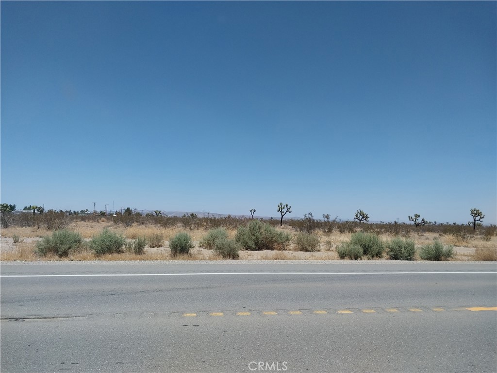 Eighty acre lot