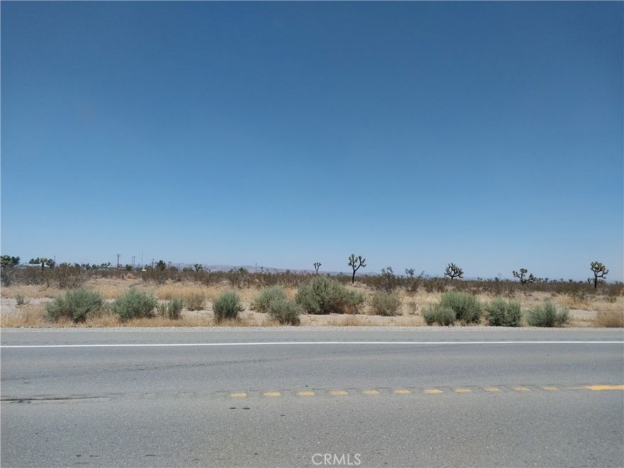 Eighty acre lot