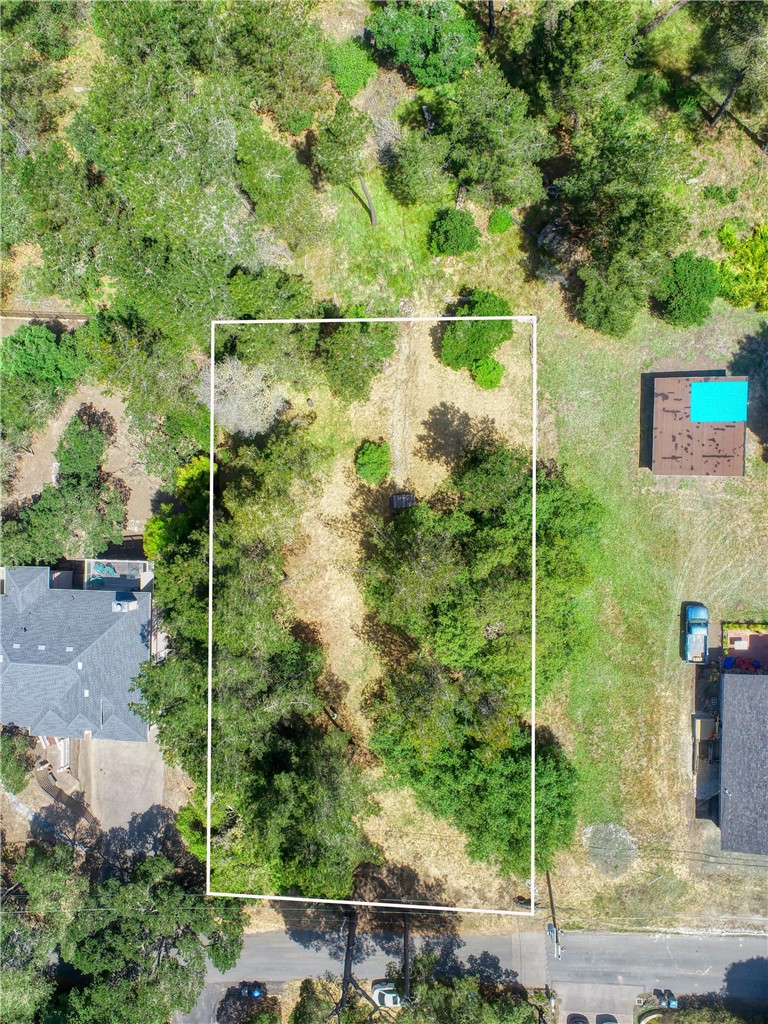 Rare Find! This 4/10s Acre lot backs up to the 420+ Acre Fiscalini Ranch Preserve! Access is easy from Warren Road, leading to easy build areas on property. There are trees and topography to work with for you to create a stunning forever home! Included is CCSD wait list #201. Warren Road is within the Cambria Pines Estates tract, where the large lots allow for big single level homes and gardens etc. Easy walk through Fiscalini to the ocean, following any number of trails through massive oaks and our native Monterey Pine forest. One of Cambria's very best neighborhoods. Please check the map tool to see setting, location, and connection with Fiscalini. Check CCSD.org for information about water and sewer in Cambria. Rock culvert drainage has been established with creek swale, and trees have been trimmed for fire clearance. Enjoy the trees and forest views from the picnic table. Call your realtor and come walk this peaceful setting.