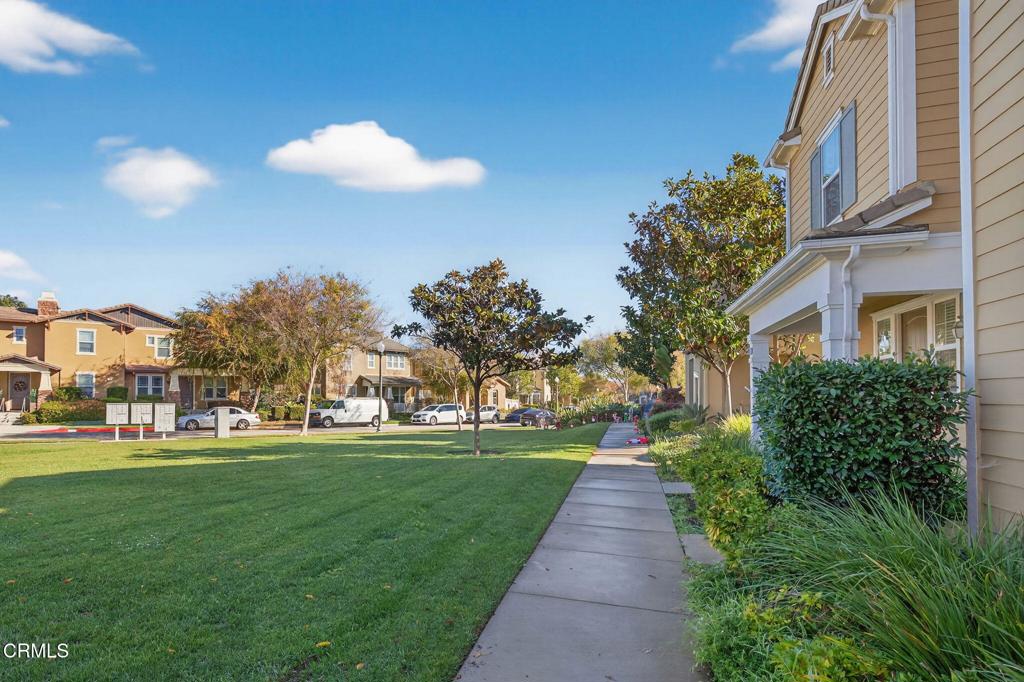 Citrus Walk - 5447 - Residential