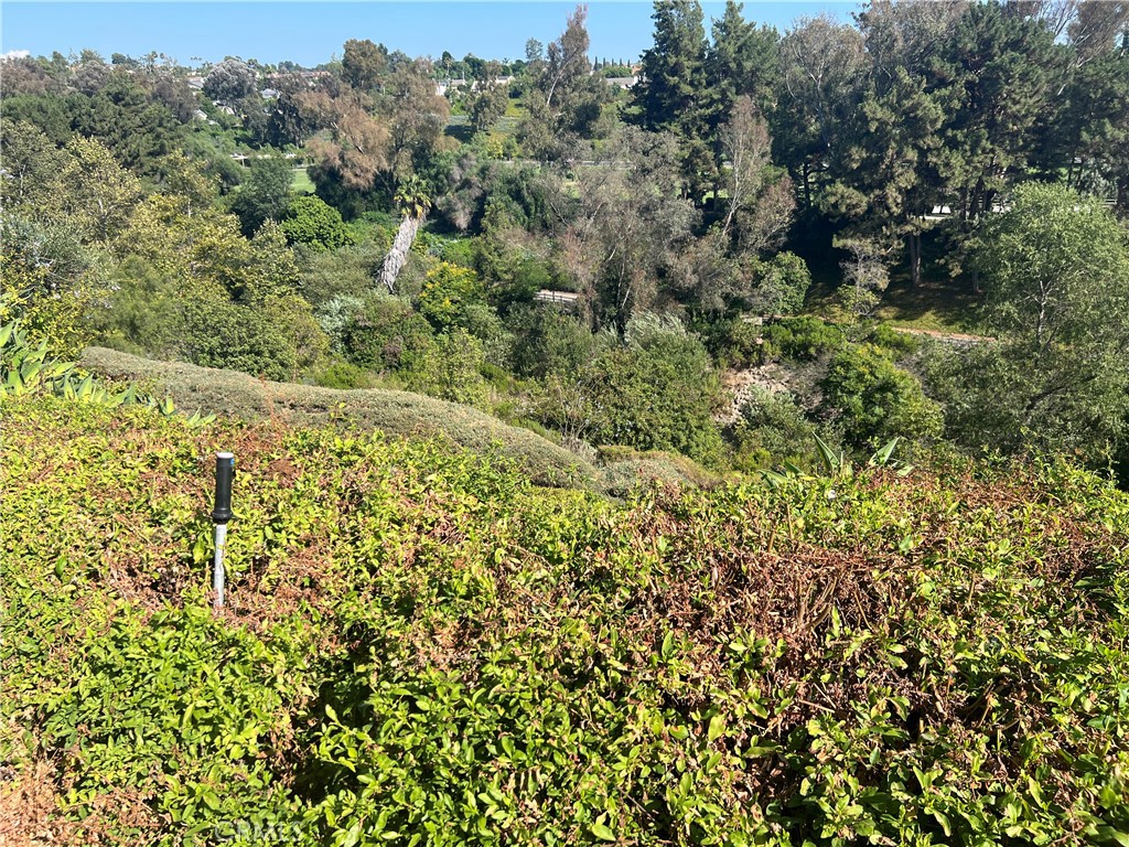 24822 Via San Fernando