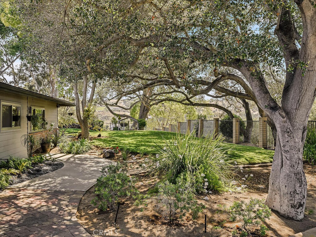 2923 Canonita Drive
