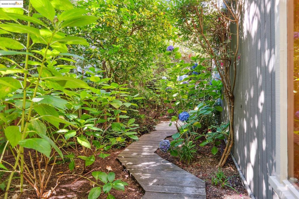 BERKELEY HILLS - Residential
