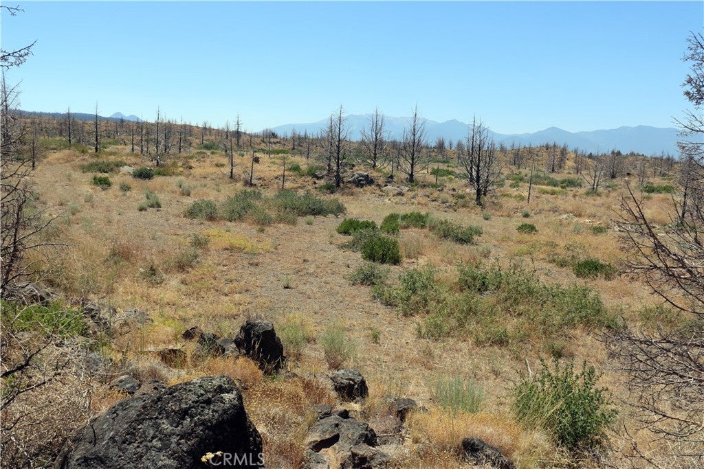0 Juniper Valley